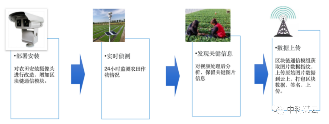 1729939501048.png 102.png